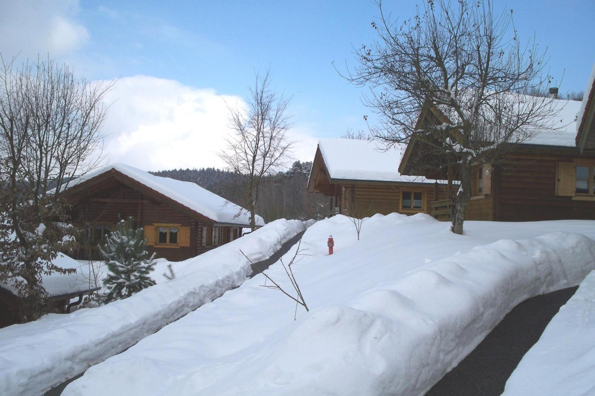 Blockhaus Hedwig Villa Stamsried Exterior photo