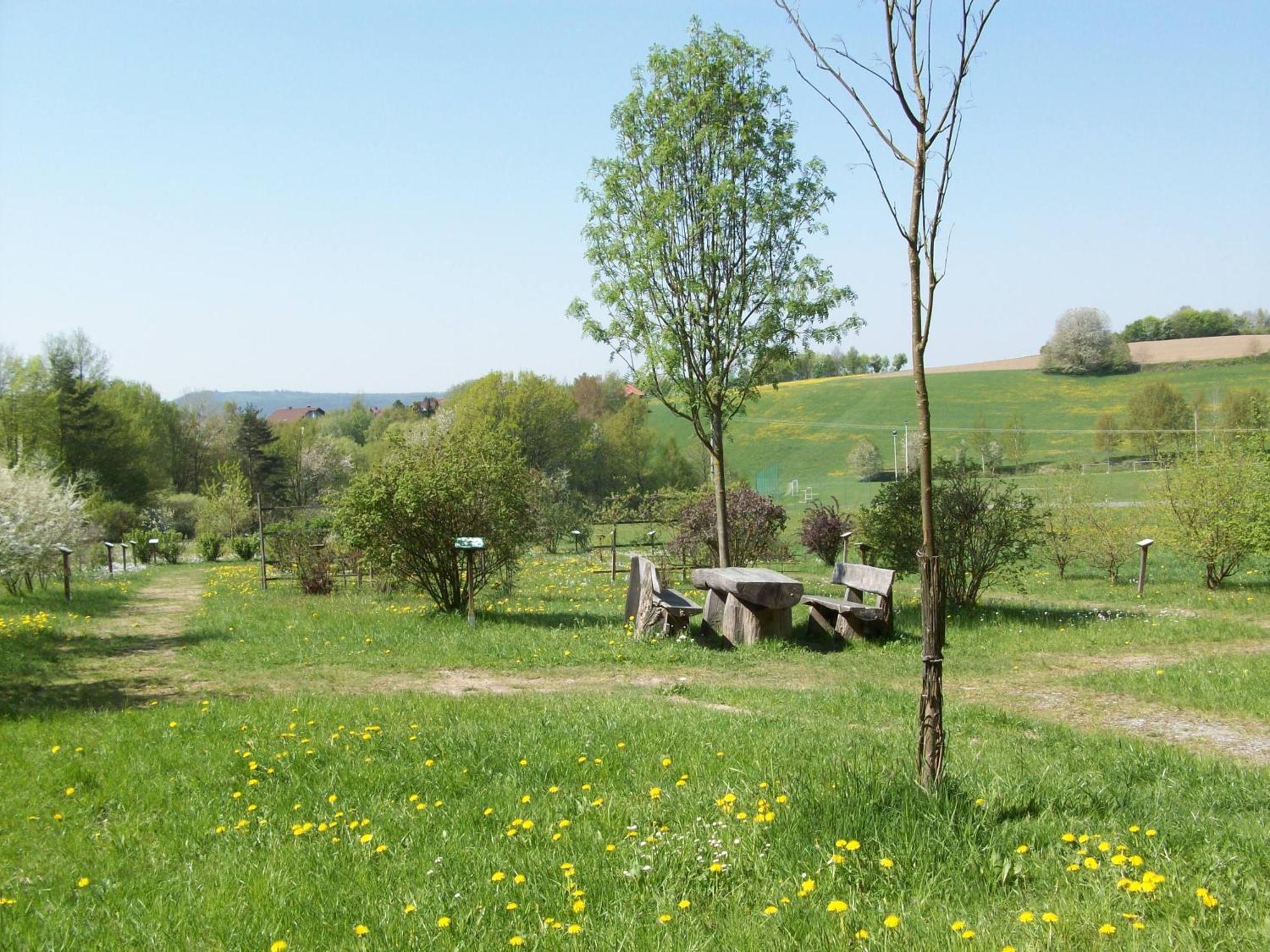 Blockhaus Hedwig Villa Stamsried Exterior photo